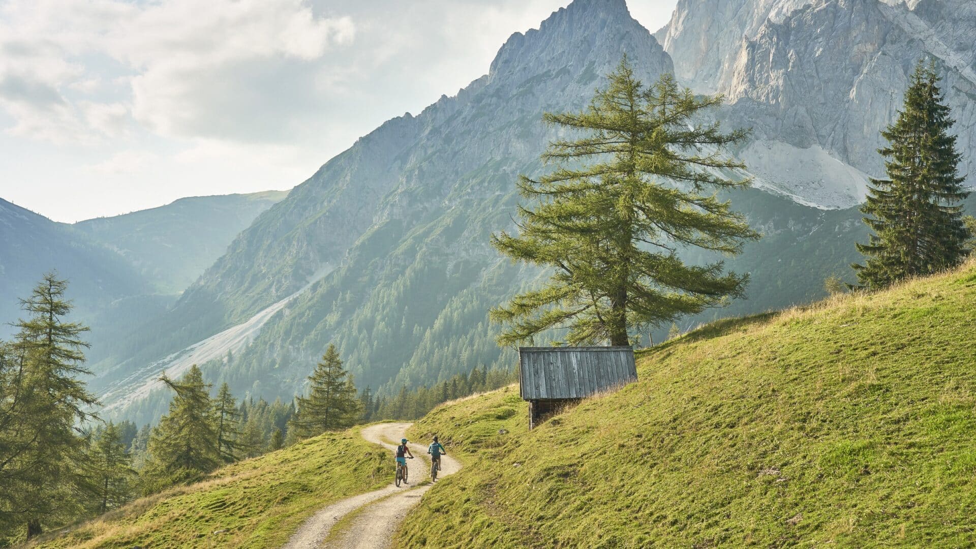 Bikeurlaub im Biohotel in Schladming, Dachstein